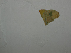 How to Fix Chipped, Broken Plaster
