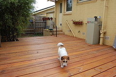 Got a problem with your decking?