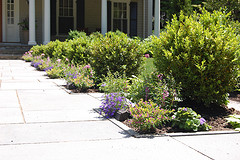 gardenlandscape How to Fix the Look of Your Property Landscape