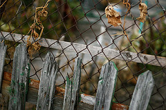Fix Your Fences.