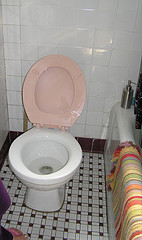How to Unclog a Clogged Toilet in Three Steps
