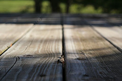 Sinking deck to fix deck.