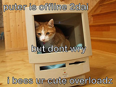 computeroverload Computer problems are never this cute.