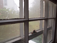 Window won't budge?